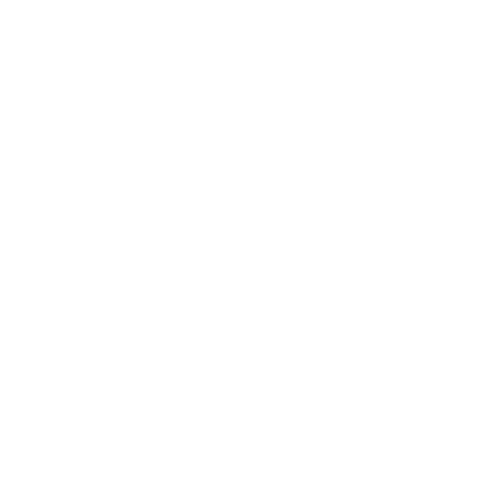Arlin Italia